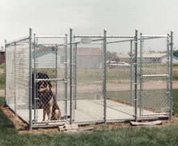 Industrial Chain Link Dog Kennel